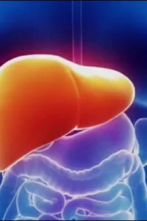Problemas No Fígado: Conheça os 8 Principais Sintomas