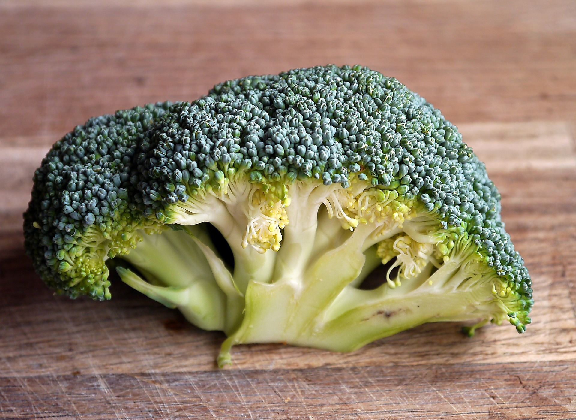 Benefícios do Brócolis: Alimento Saudável e Nutritivo