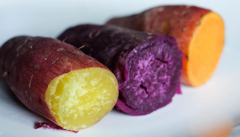 Conheça os benefícios da batata doce para sua saúde