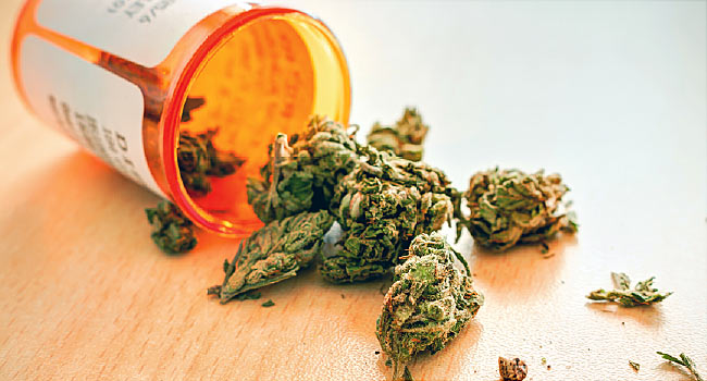 Medicamento a base de Cannabis