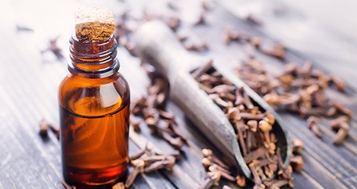 Óleo Essencial de Cravo – Os benefícios para aromaterapia