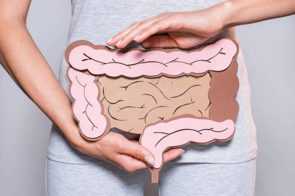 Hipertensão e intestino: A influência das bactérias intestinais na sua pressão arterial | Juliano Pimentel