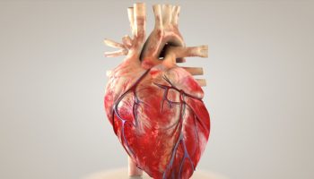 doenças cardiovasculares